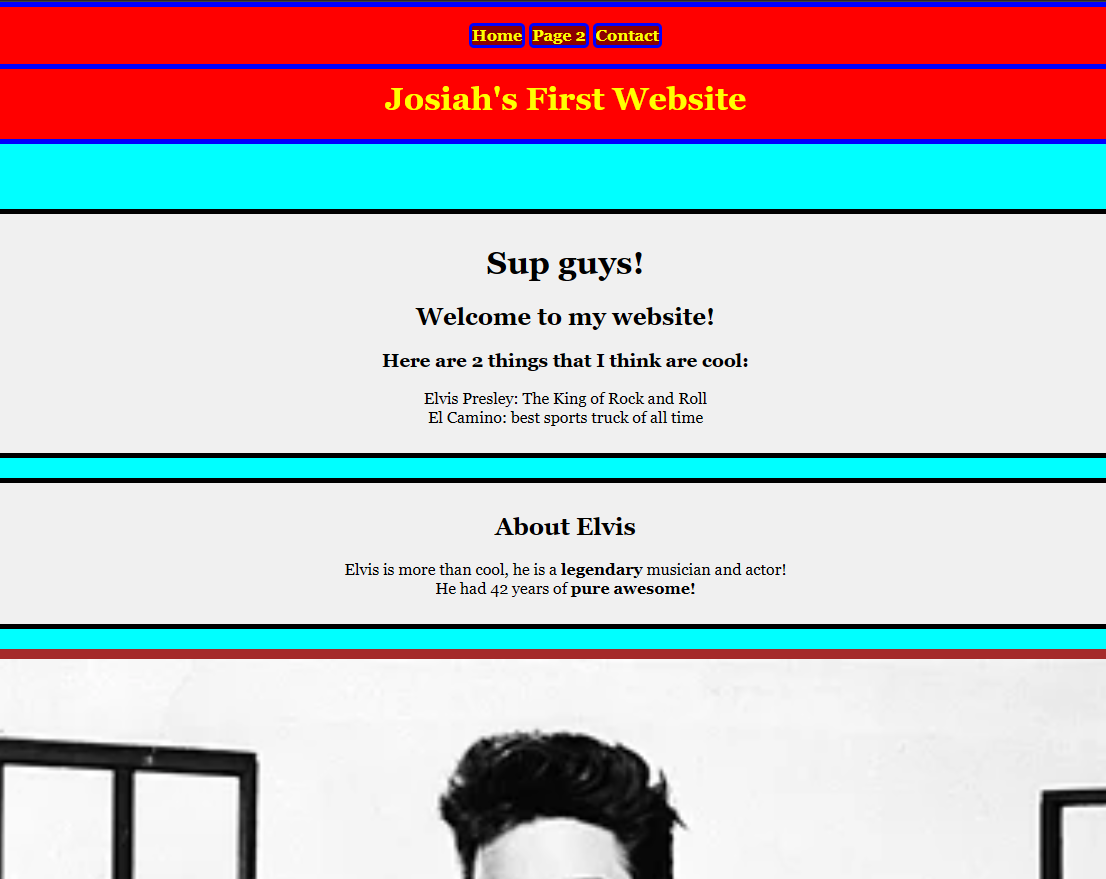 picture of my first website